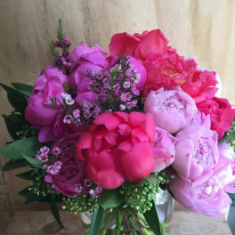 Peony Obsession