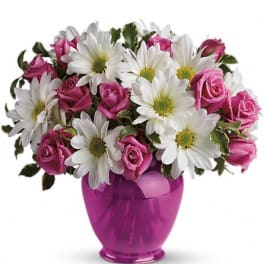 Pink roses and white daisies in a magenta vase