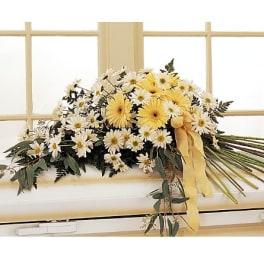 Yellow and white daisy bouquet with a ribbon