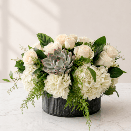 White roses and hydrangeas arranged with a central succulent in a black vase