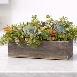 English Garden by BloomNation™
