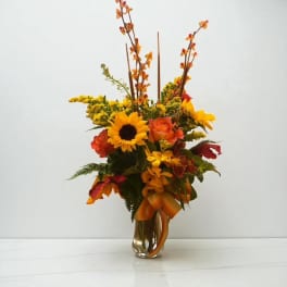 Sunflower Beauty