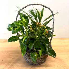 Euro Basket Plant Garden