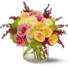 Enchanted Roses