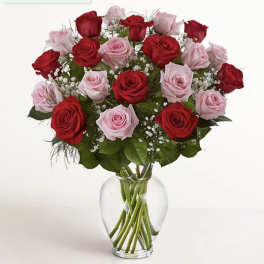 Red & pink Roses