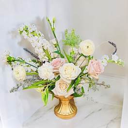 Agape’s Choice S (VASE)