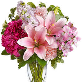 Blush of Love
