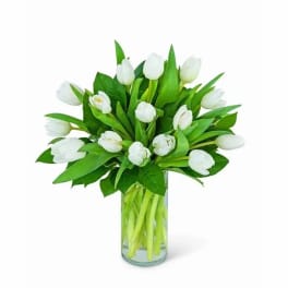 White tulips arranged in a clear glass vase