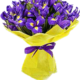 Bouquet of purple flowers wrapped in bright yellow paper with a purple ribbon