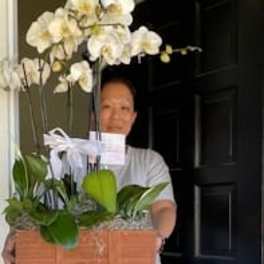 Grand orchard wooden box planter