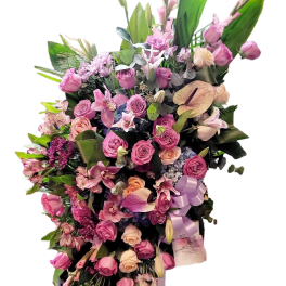 Pink Tribute