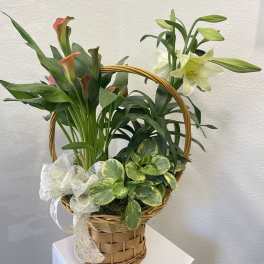 Easter Basket