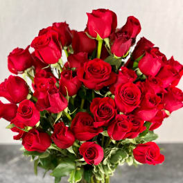 Milestone Celebration Roses