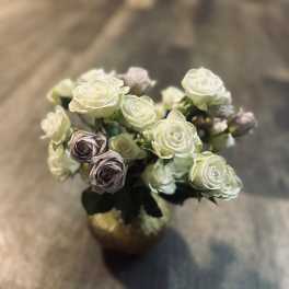 1 Dozen Assorted Color Spray Roses