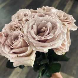 1 Dozen Ribbon Tied You Pick Color Roses