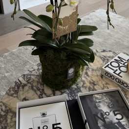 Organic Orchid