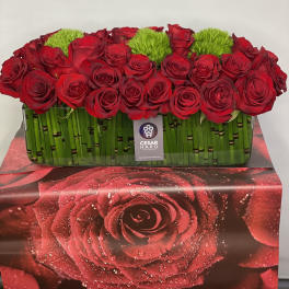 Rose Desire