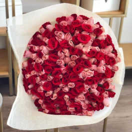 Bouquet of red and pink roses wrapped in white paper