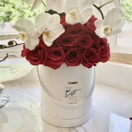 Tall reds and white