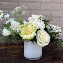 Fresh White