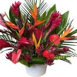 Tropical Delight