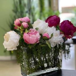 Mom’s Peonies