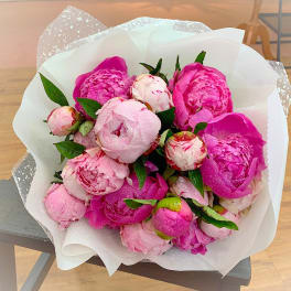Wrapped bouquet of pink peonies with water droplets in white paper