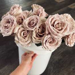 24 You Pick Fresh Cut Roses