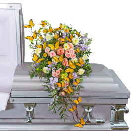 Casket spray of pink and white roses with yellow butterflies