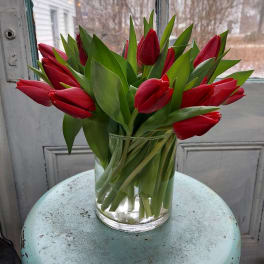 Red tulips in a clear glass vase