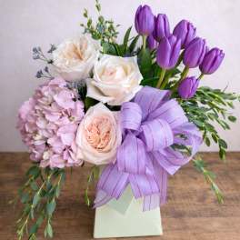 Tender Tulips