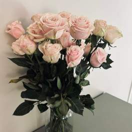 2 Dozen You Pick Roses in Extra Large Mason Jar