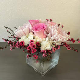Azalea Plant by BloomNation™