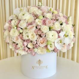 Pink and White Floral Serenity