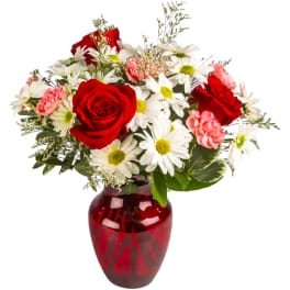 Boldly Bashful by BloomNation™