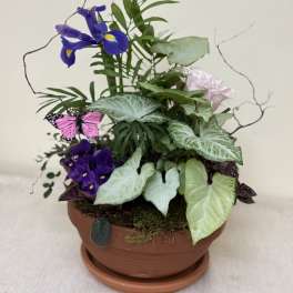 Mother’s Day Garden