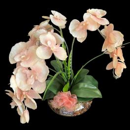 Pale peach orchid arrangement in a glass bowl with a pink ribbon