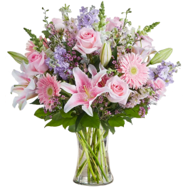Excellence in Bloom