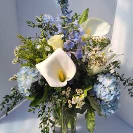 Marion's Calla Lilys