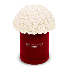 White rose bouquet in a red velvet hat box