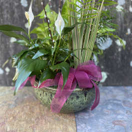 Serene Dish Garden