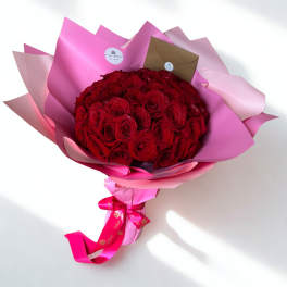 Splendid Pink & Red