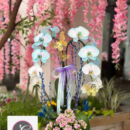 Orchid Arrangement #17