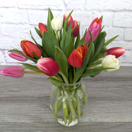 Mixed tulips in pink, red, and white arranged in a clear glass vase