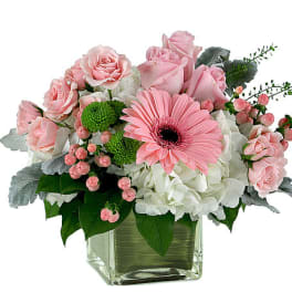 New Baby New Girl Flowers