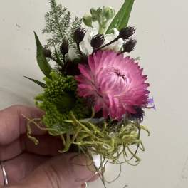 Succulent Boutonnière by BloomNation™