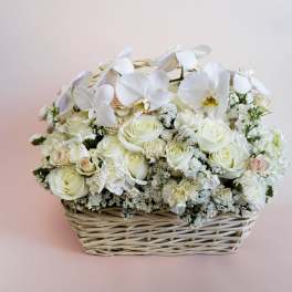 White Perfection
