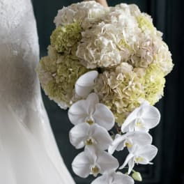 Bride holding a bouquet of pale hydrangeas and white orchids