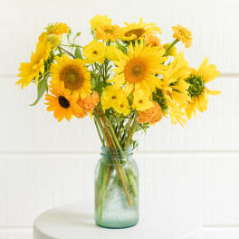 sunshine serenade