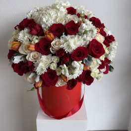 Amour Arrangement